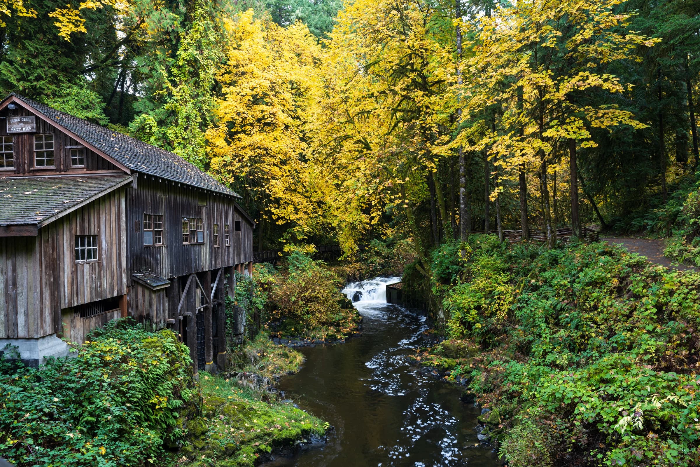 Cedar Creek's Golden Cascade