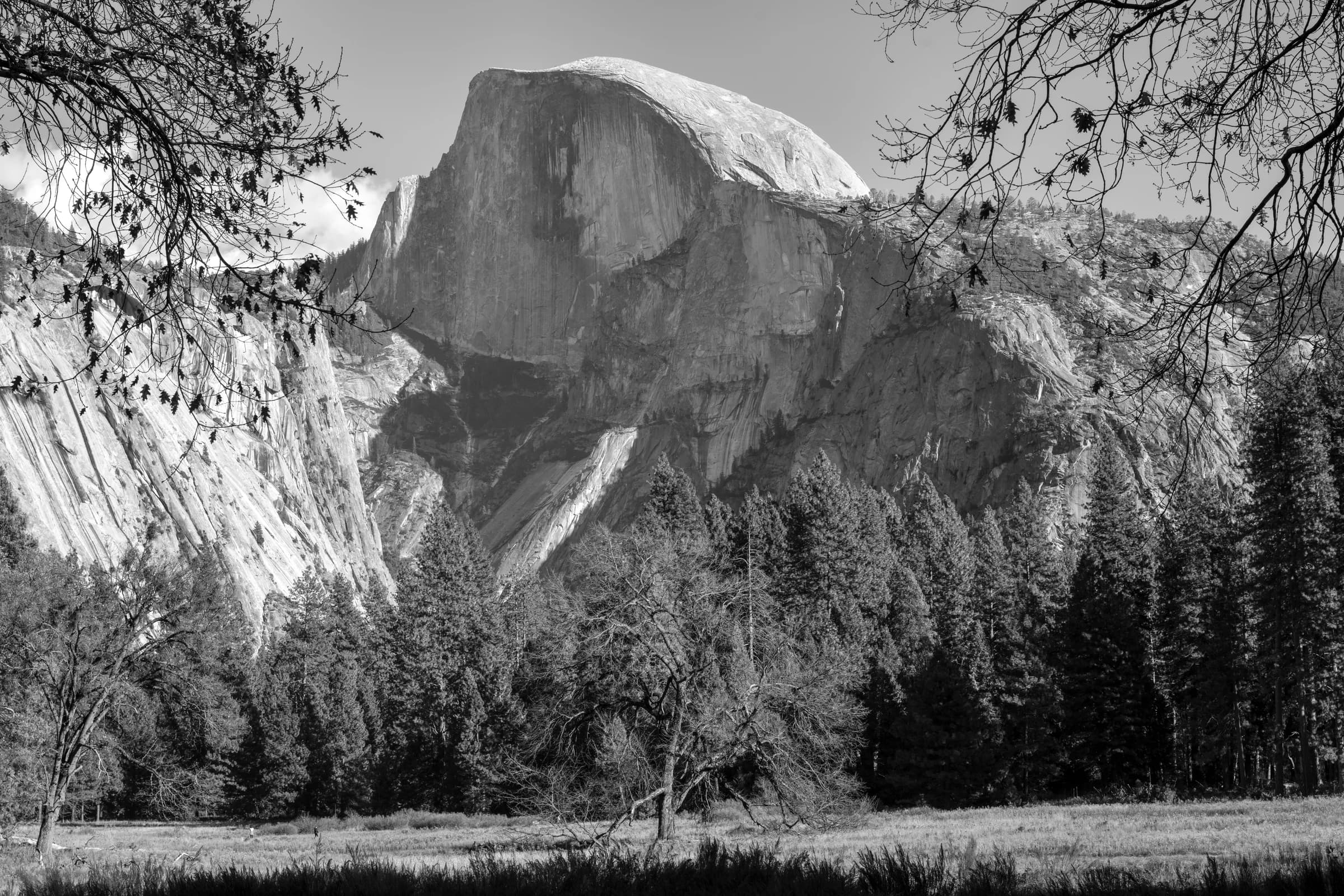 Half Dome's Silent Majesty