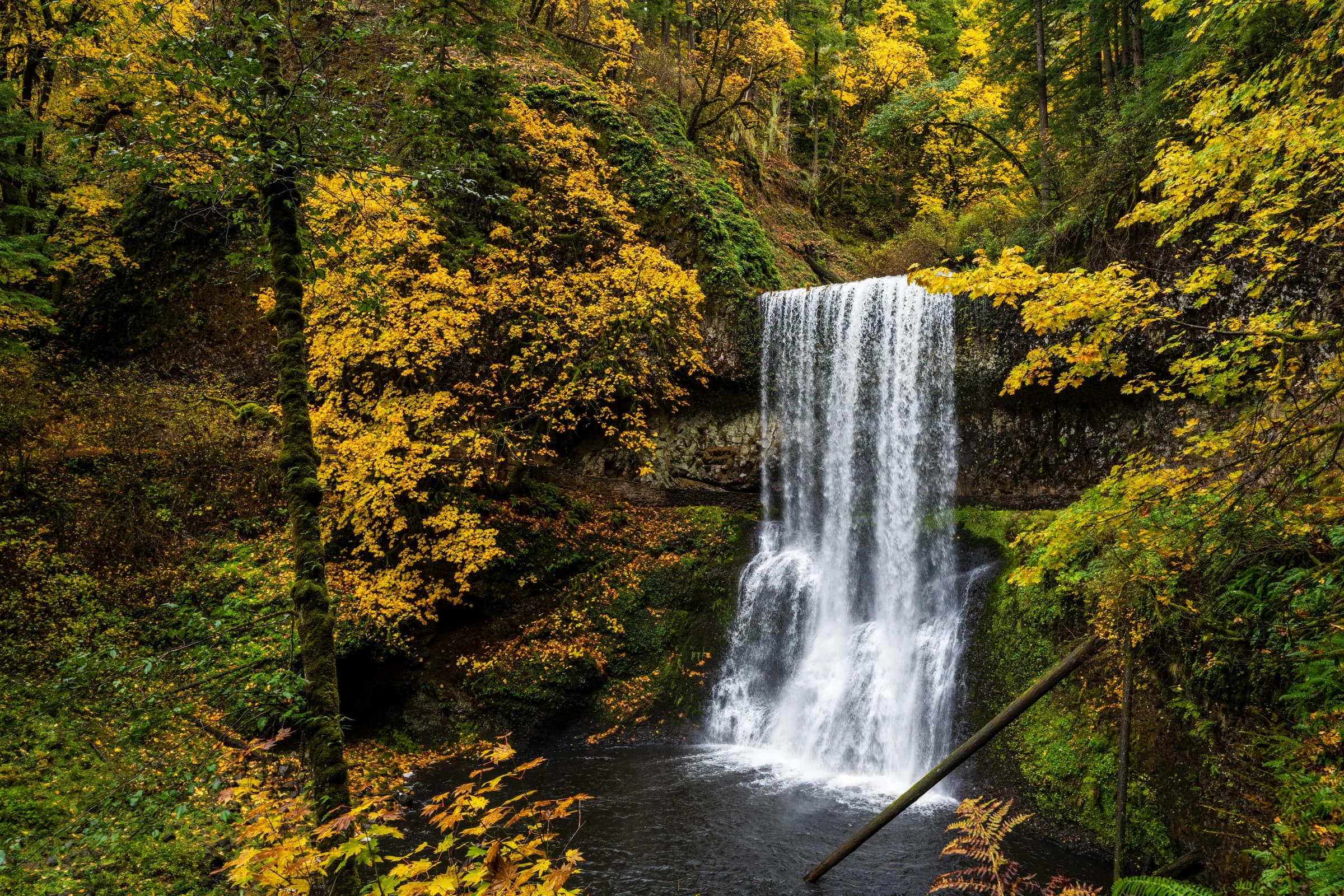 Autumn Cascade, Golden Light