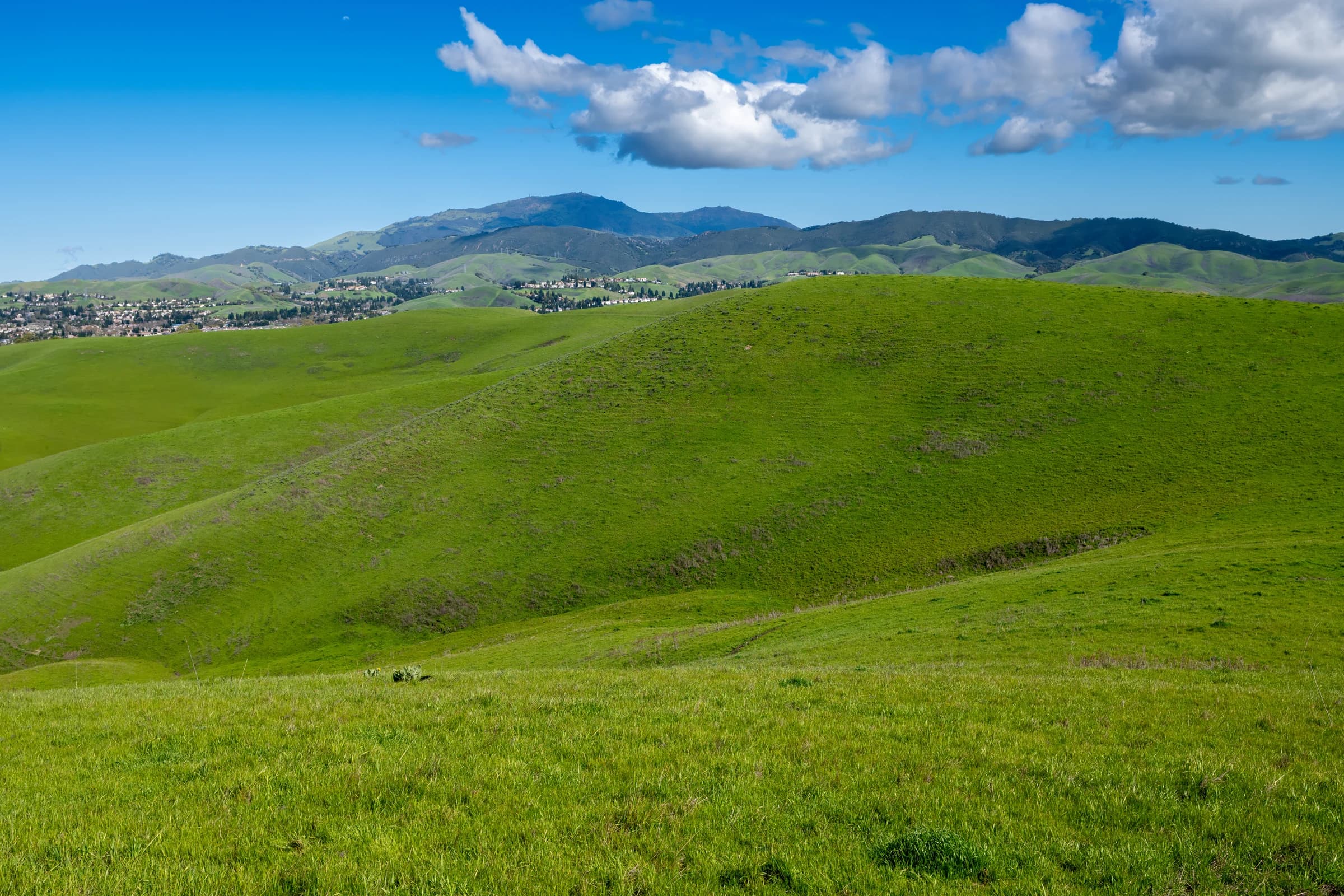 Emerald Hills of California