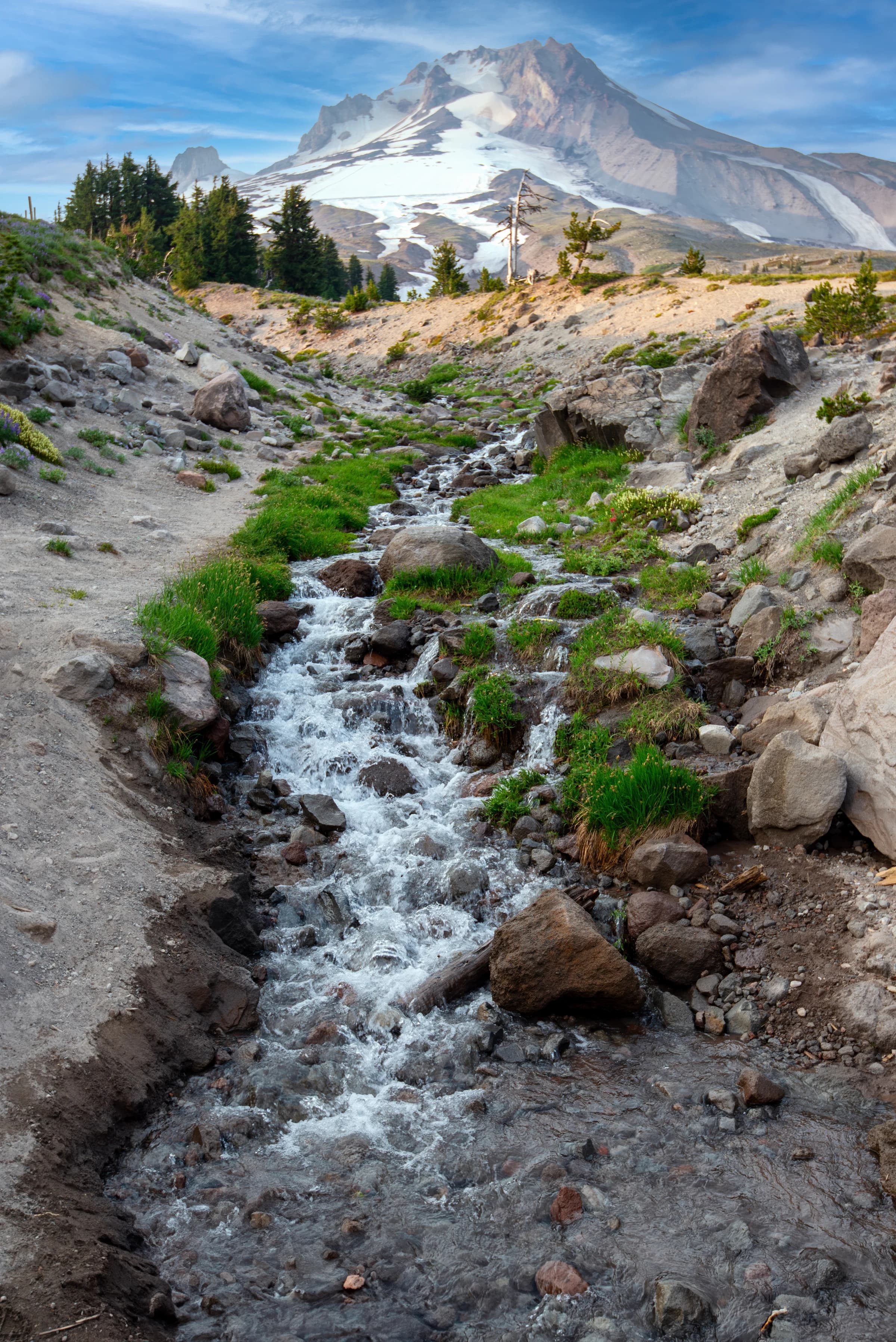 Mount Hood's Cascade Stream
