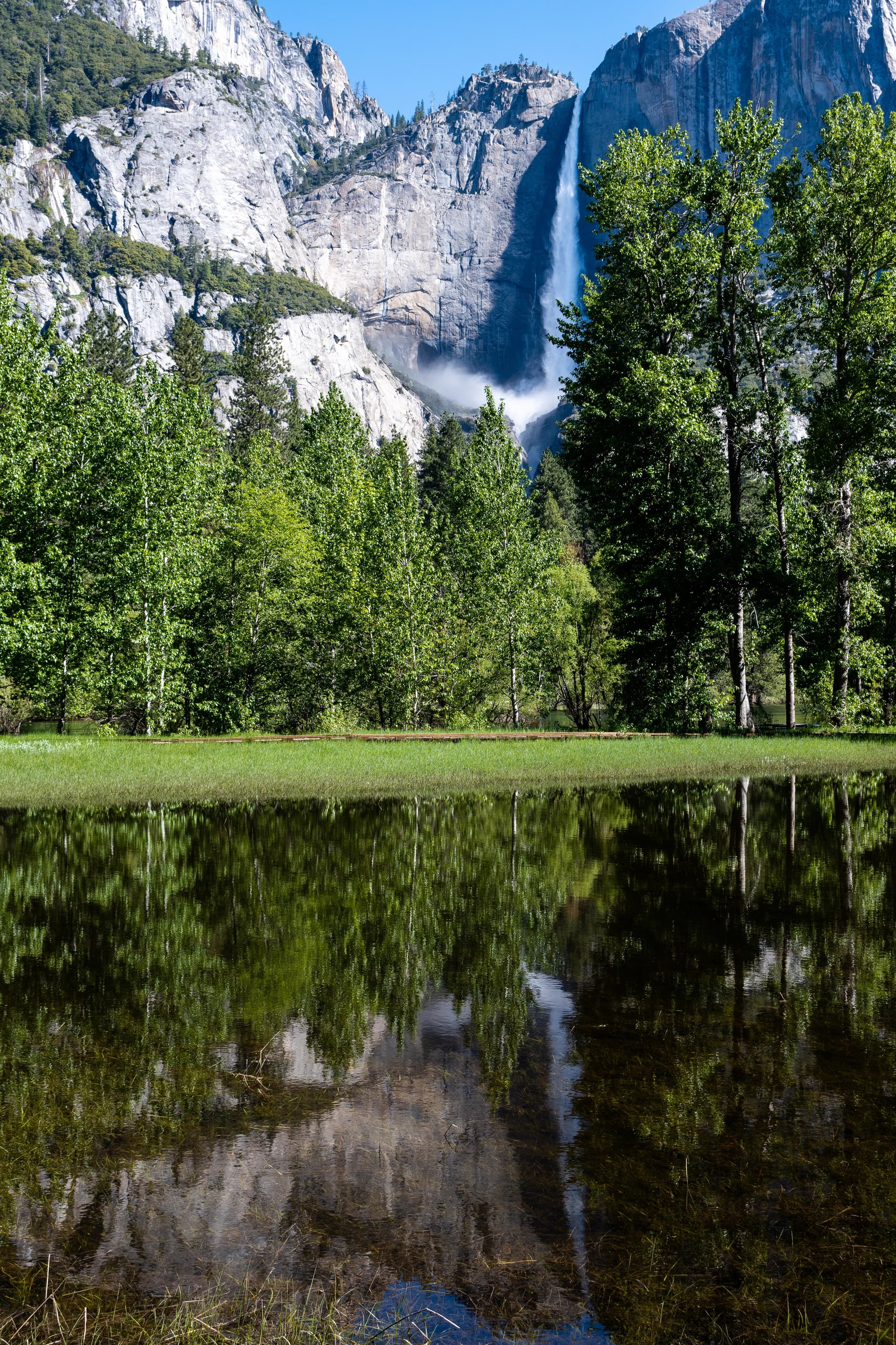 Yosemite's Reflected Majesty — Yosemite Falls, Yosemite National Park, California