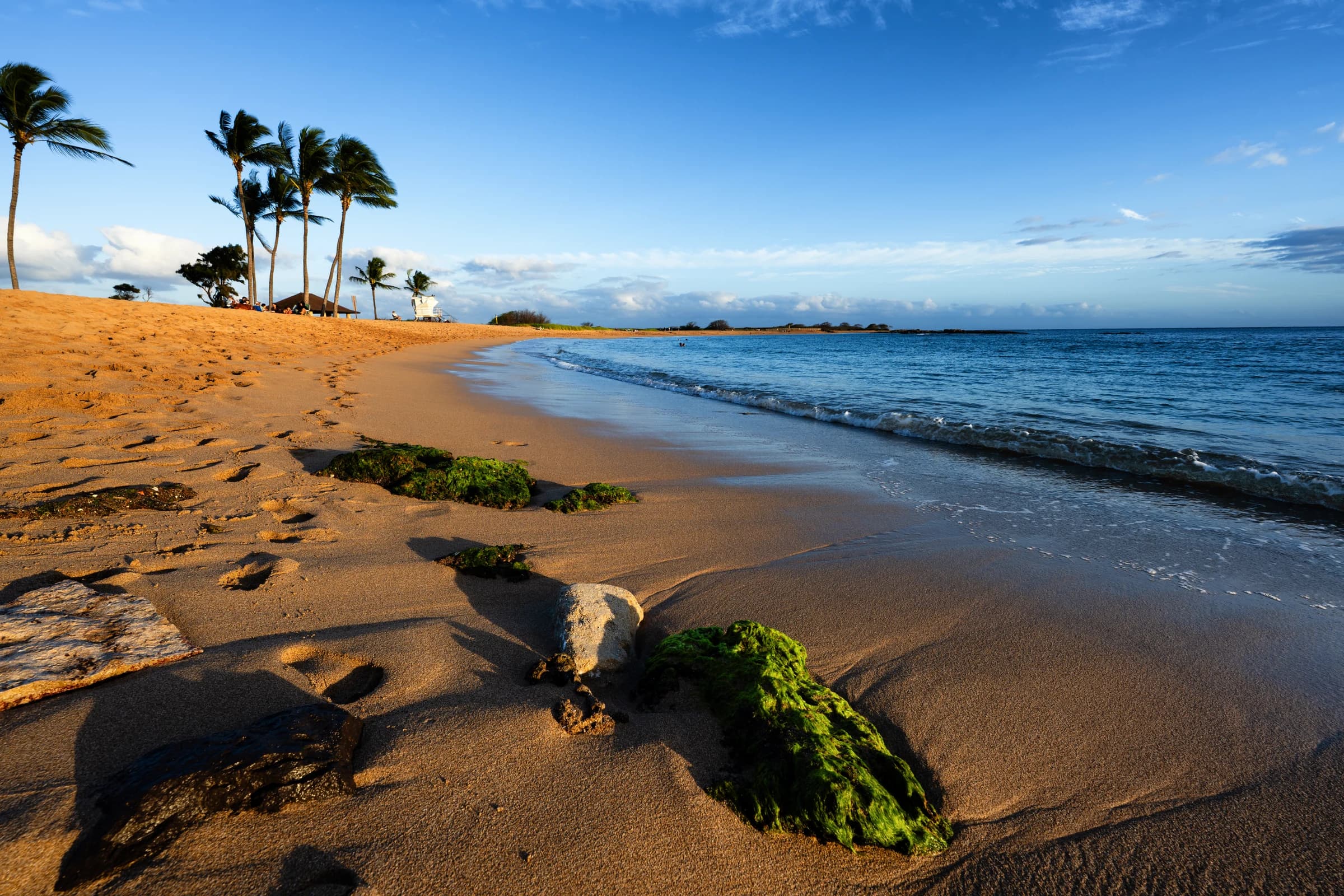 Kauai Beach Rocks and Sand