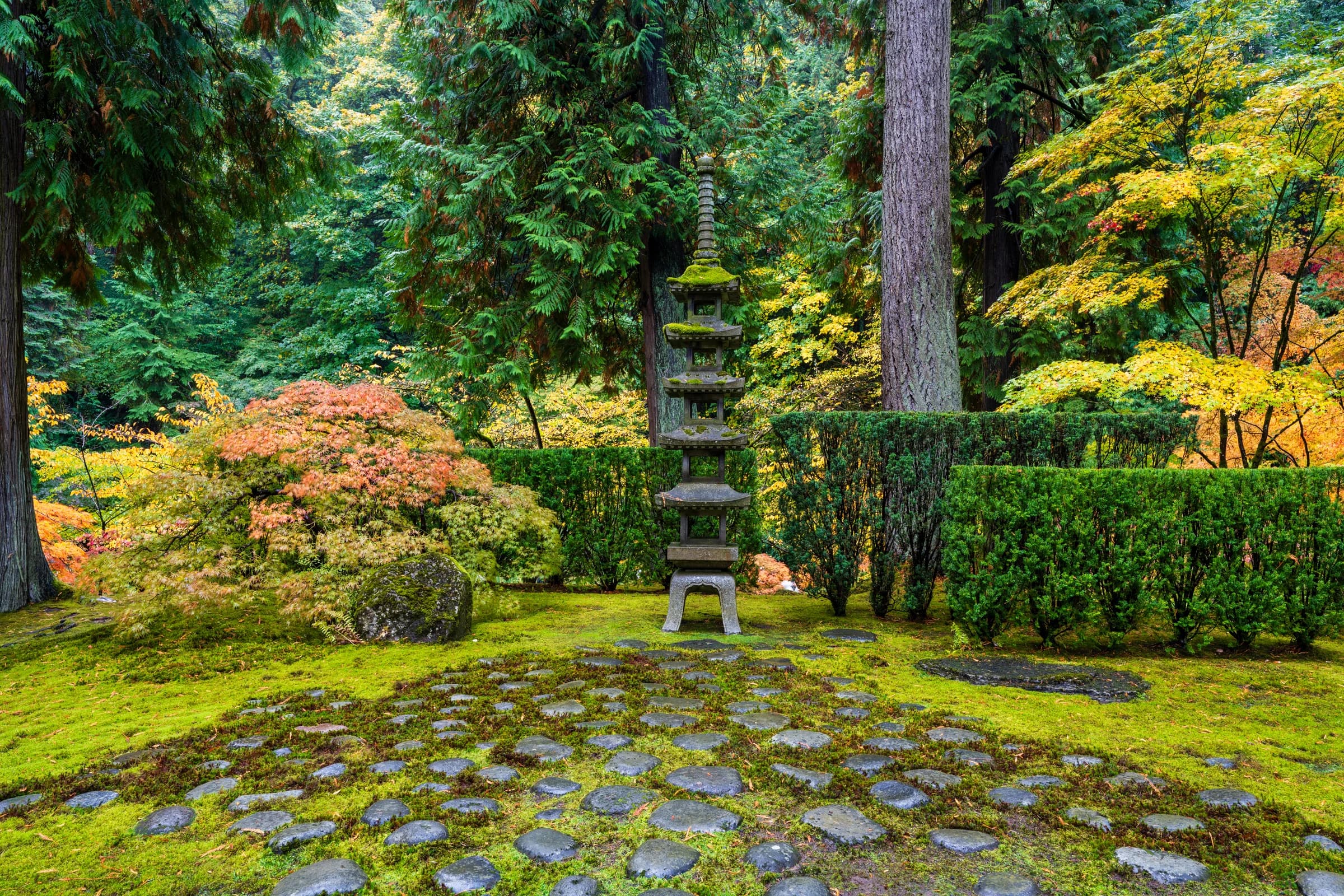Garden Pagoda, Autumn Light