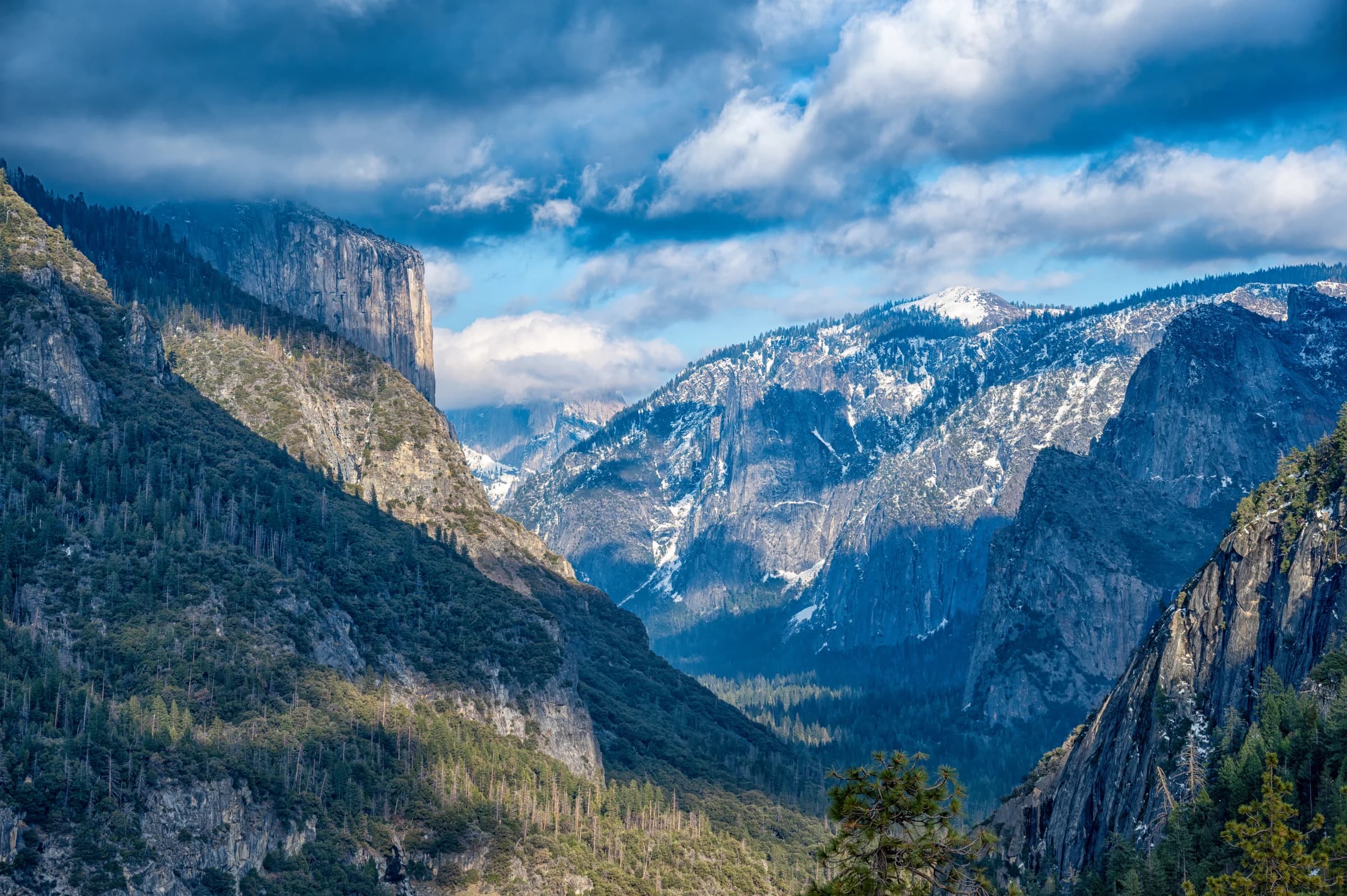 Yosemite's Winter Majesty (2021)