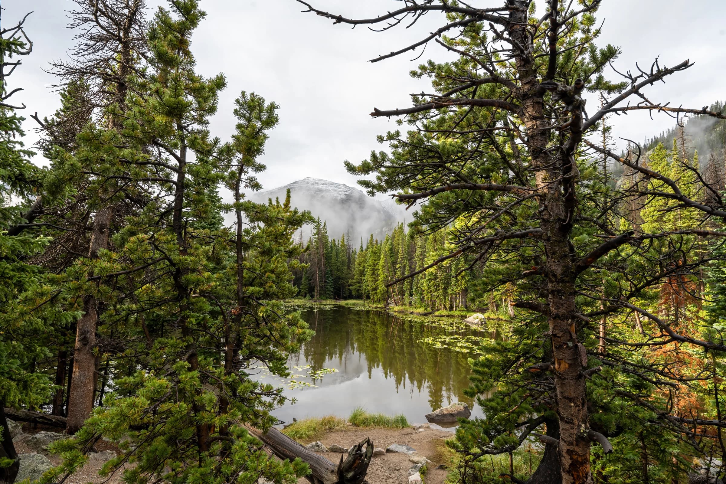 Emerald Lake's Misty Reflection