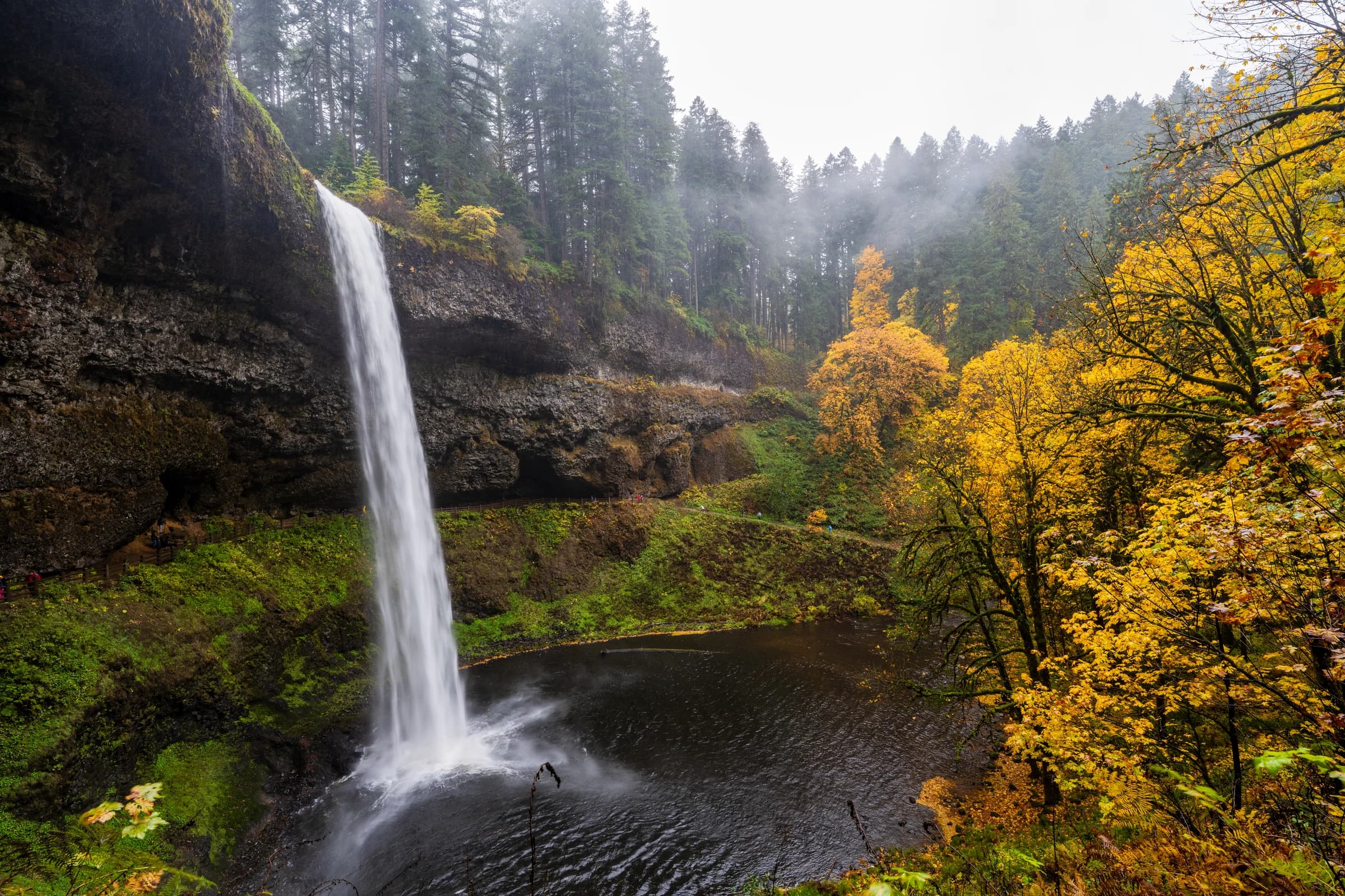 Silver Falls Autumn Cascade