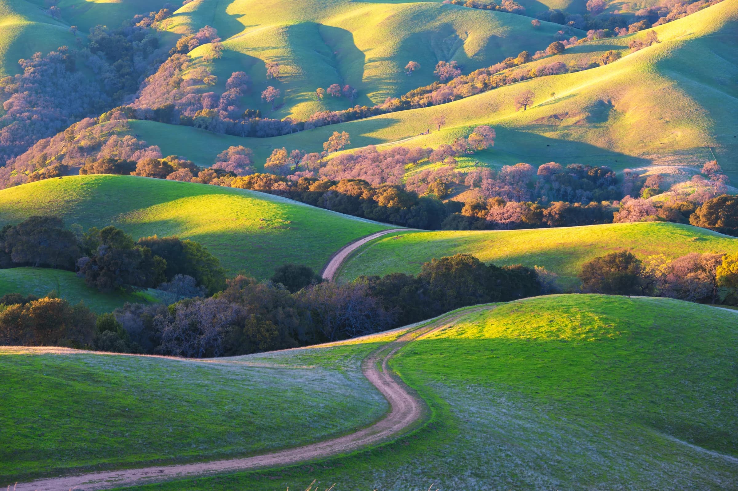 Golden Hills Serpentine Path