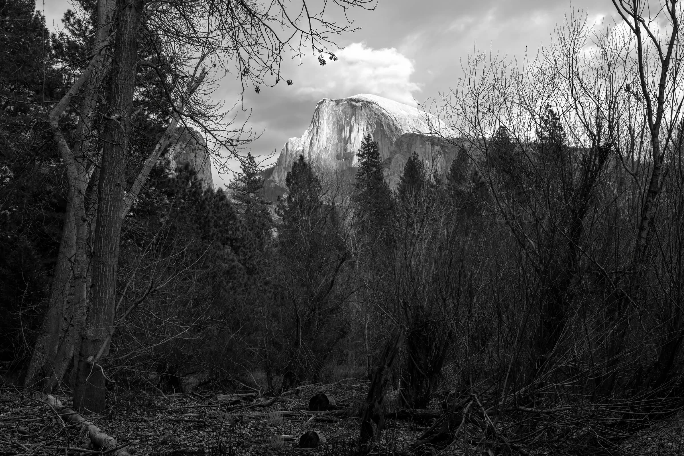 Half Dome's Winter Embrace