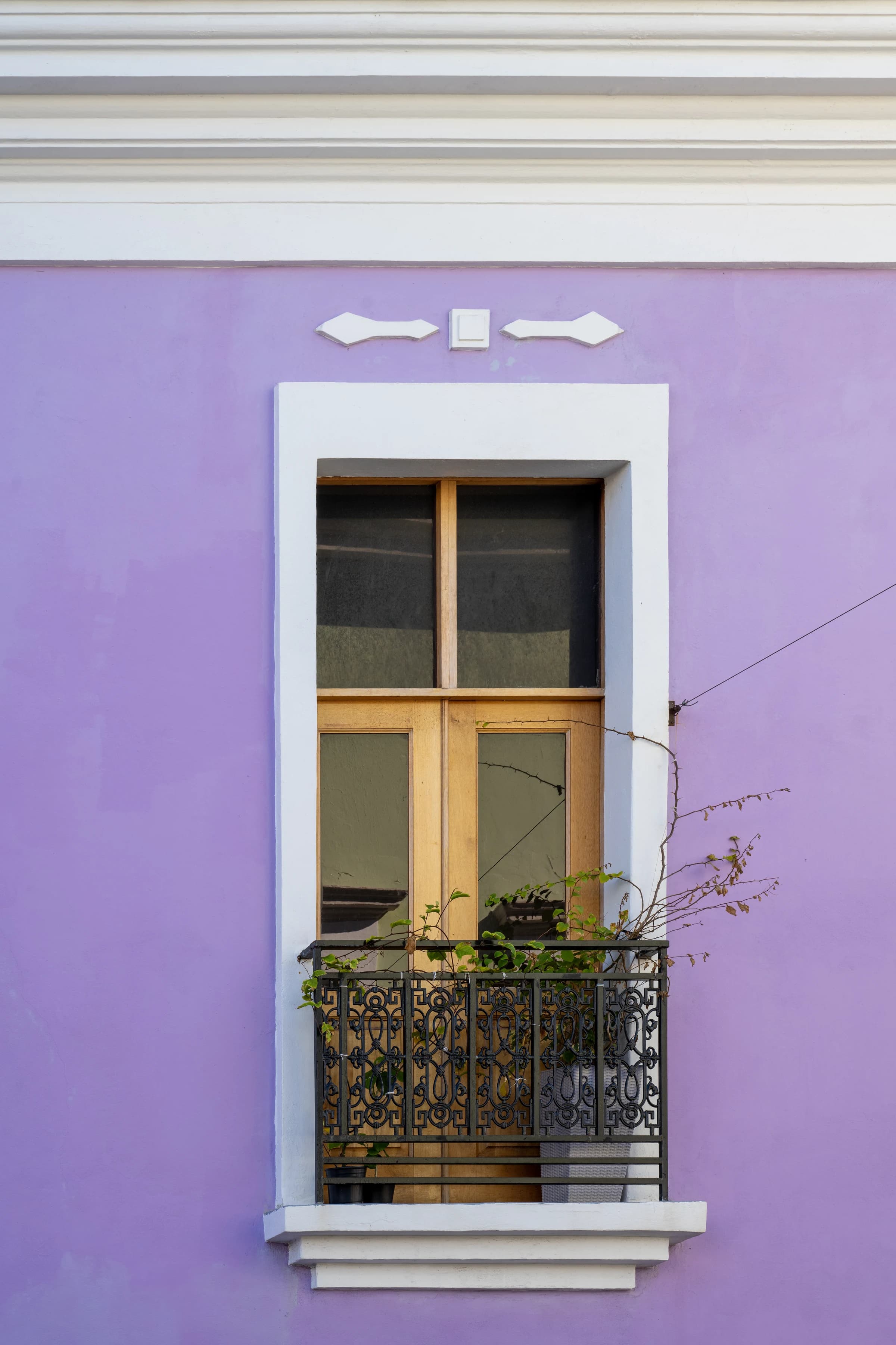 Lavender Wall, Window, and Balcony