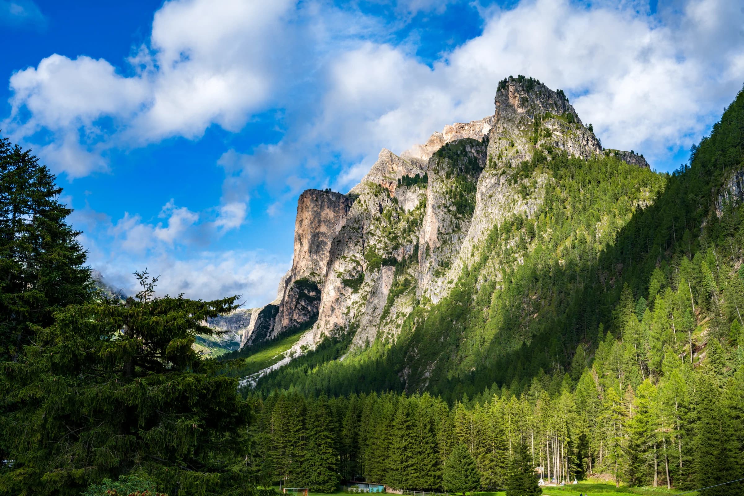 Dolomites Peak and Forest