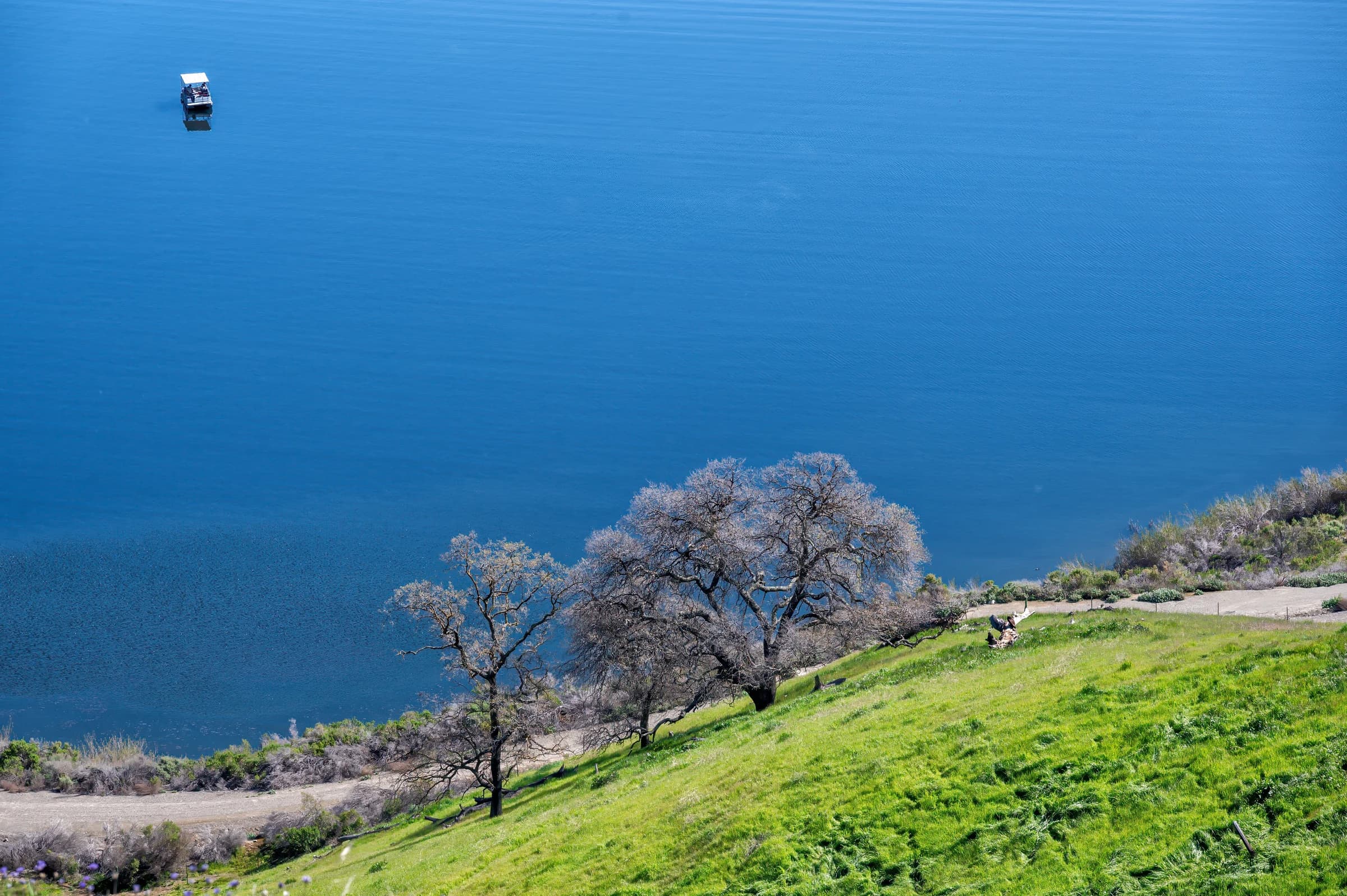 Azure Lake, Verdant Slope