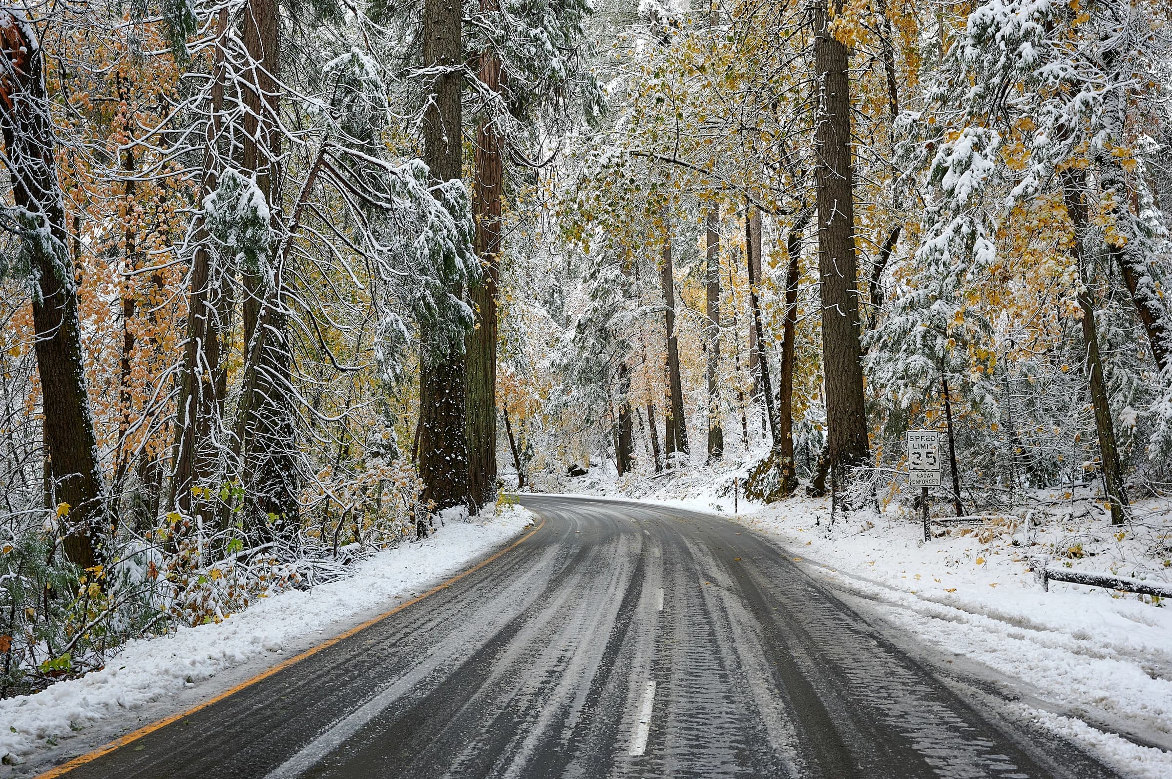 First Snow, Autumn's End