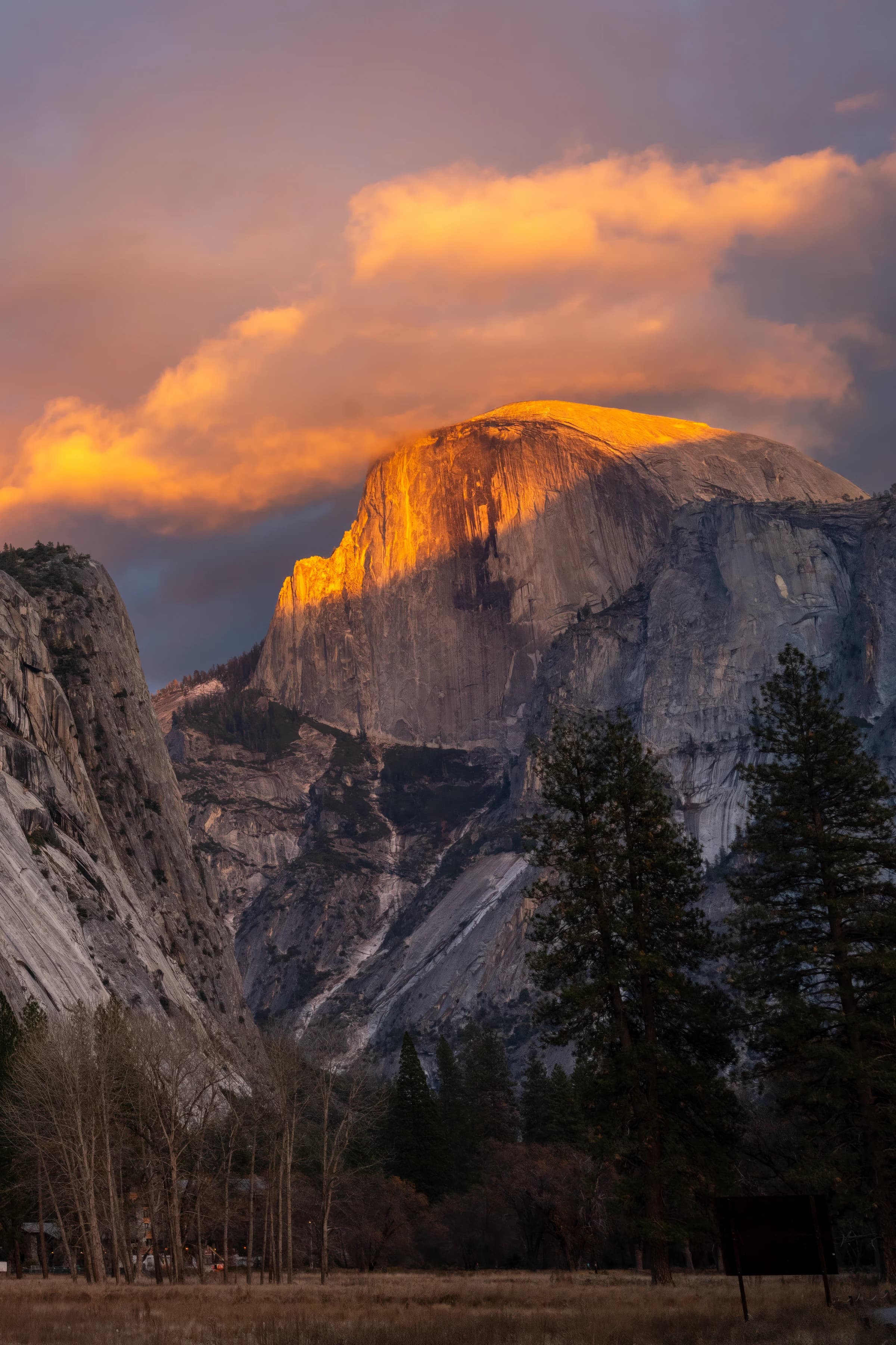 Half Dome's Golden Hour Glow (2023)
