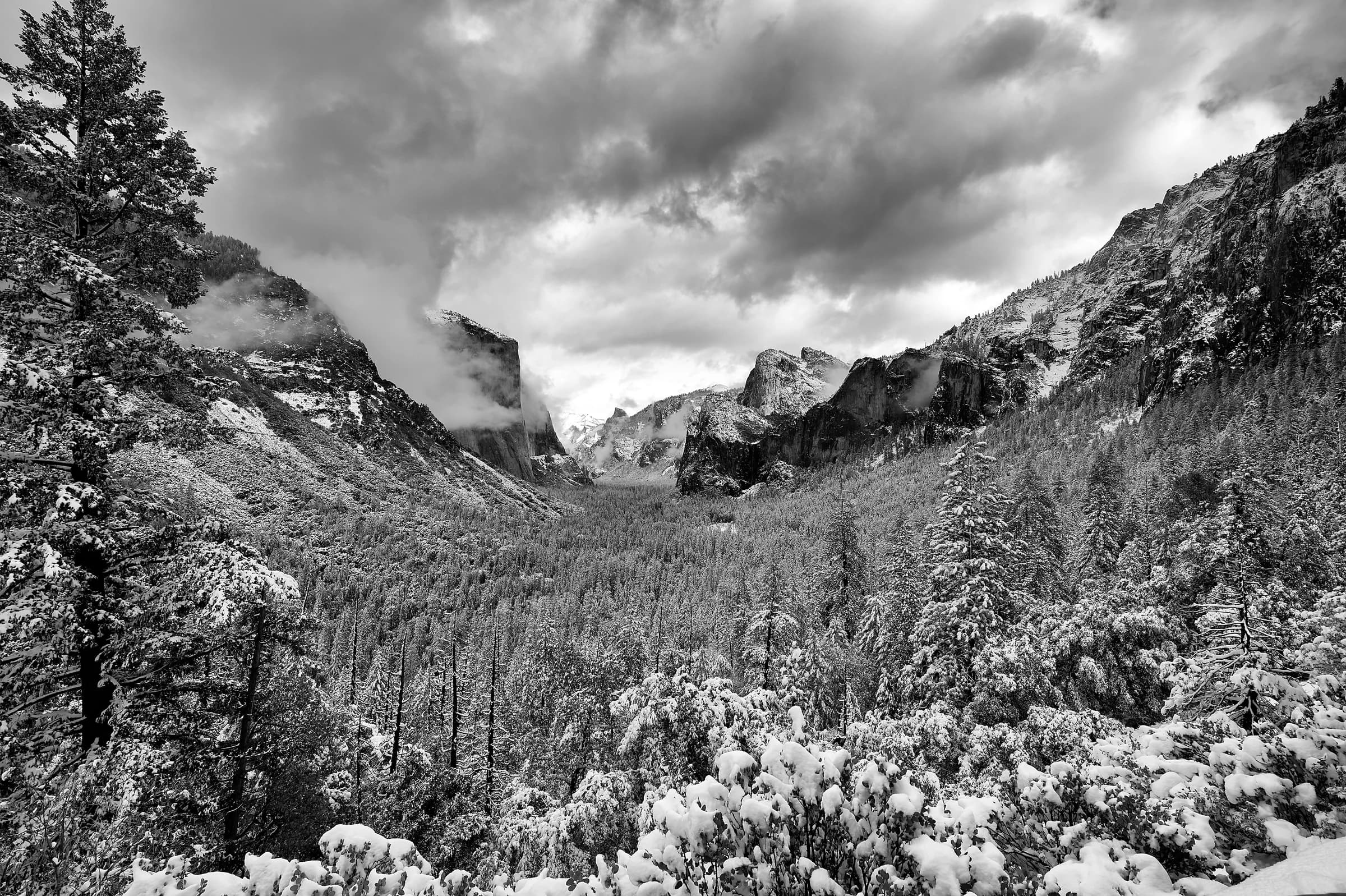 Yosemite Winter's Embrace