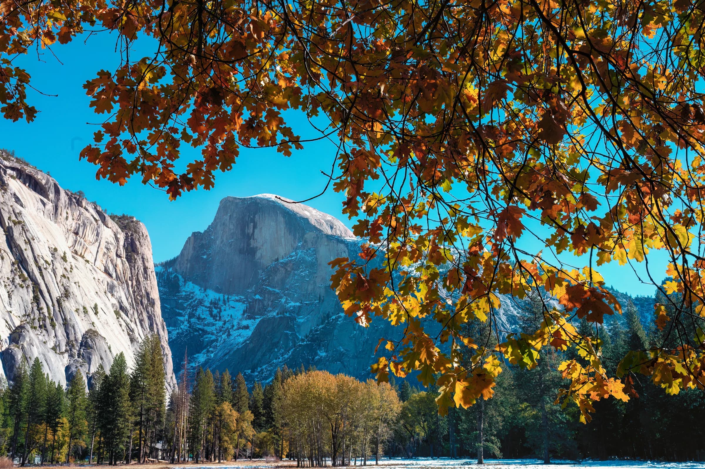 Half Dome's Autumnal Veil