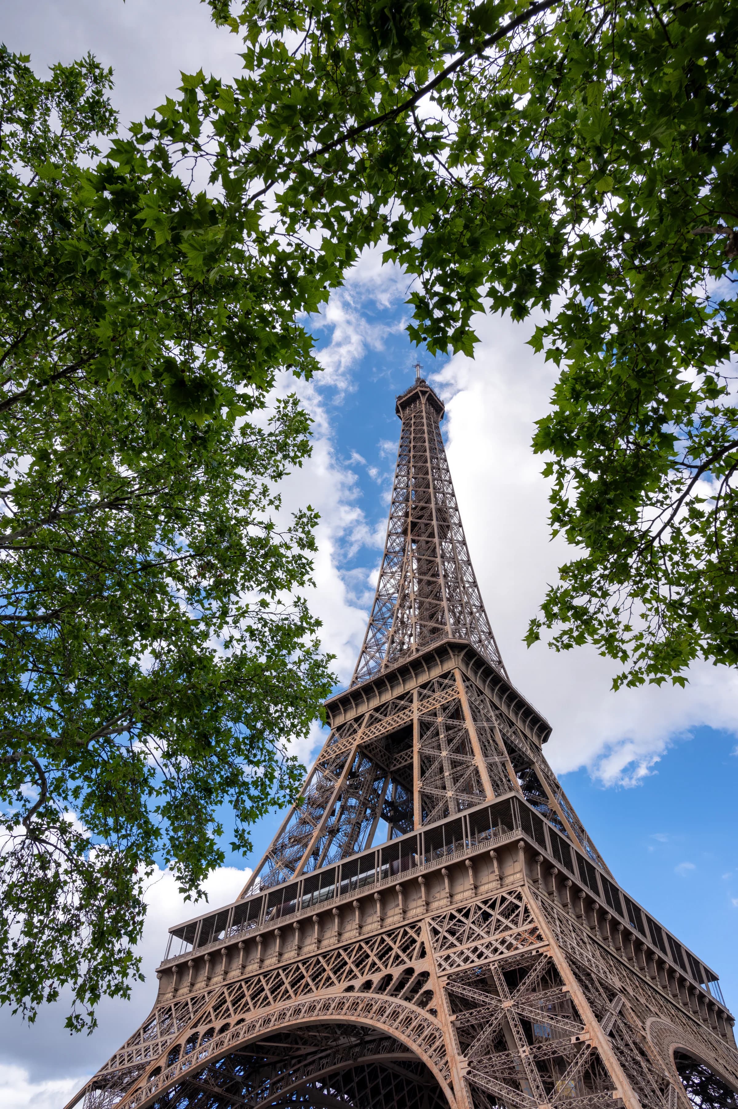 Eiffel Tower Through the Trees