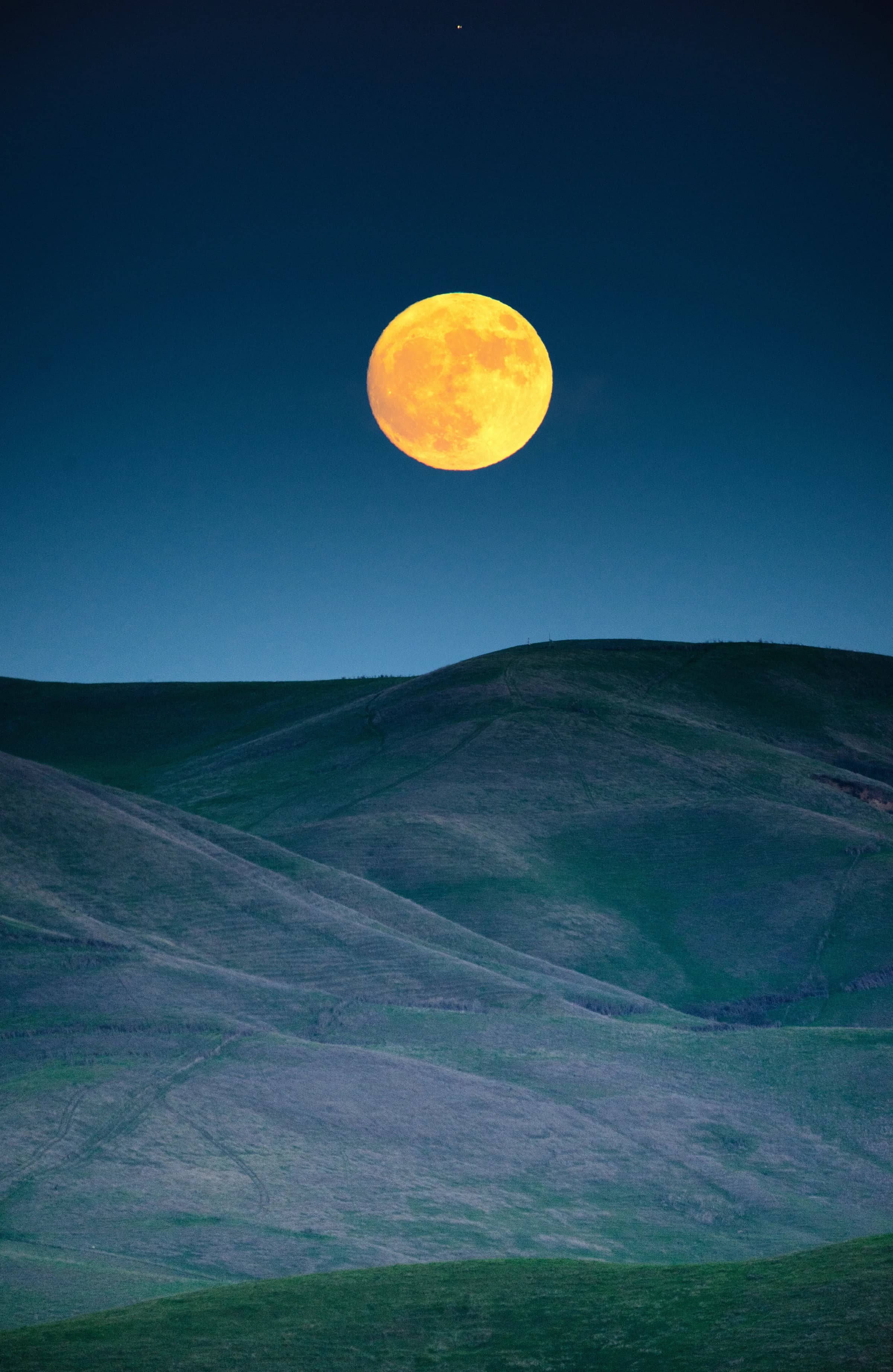 Moonrise over Verdant Hills