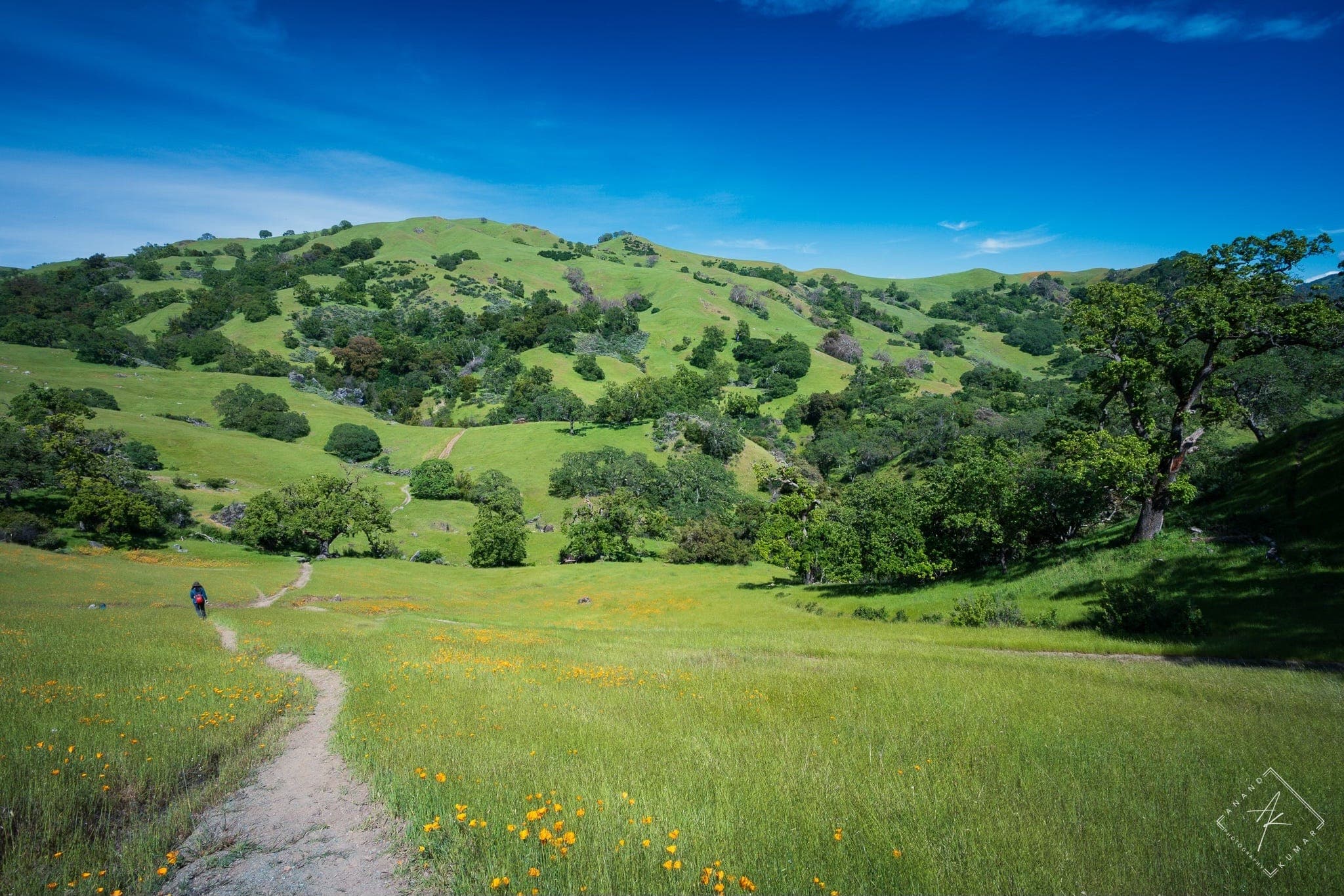 Sunol backpacker camps