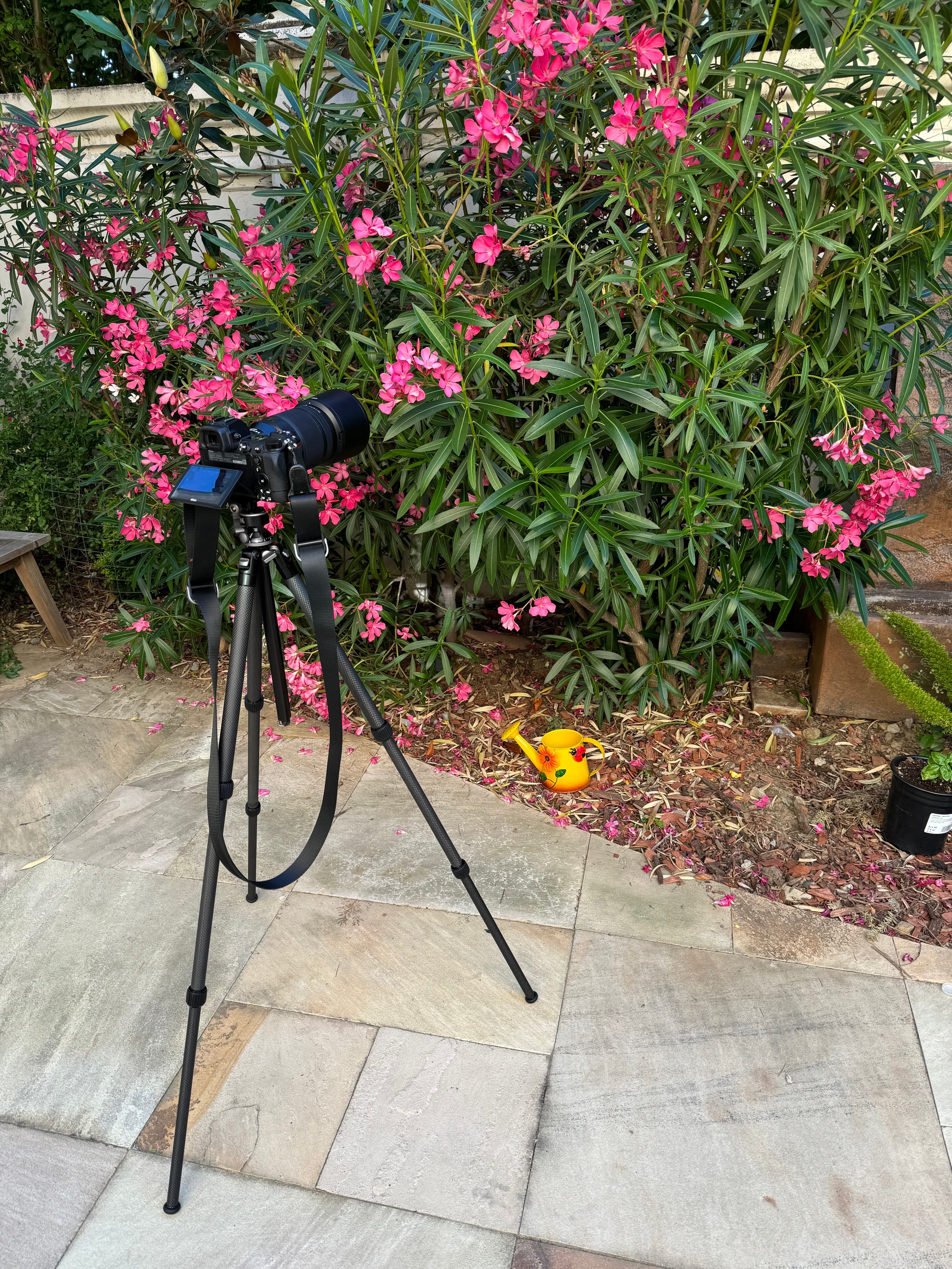 The ideal backpacker tripod